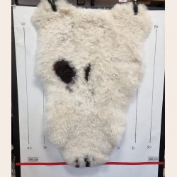 Islandsk klippet lammeskind plettet str M 2718