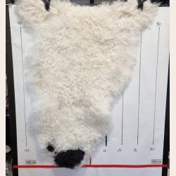 Islandsk klippet lammeskind plettet str M 2720