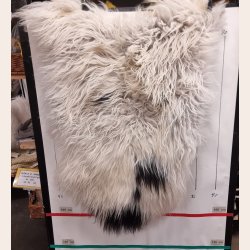 Islandsk lammeskind langhret plettet str M - 2214