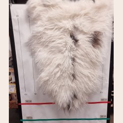 Islandsk lammeskind langhret plettet str M - 2217