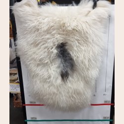 Islandsk lammeskind langhret plettet str M - 2218