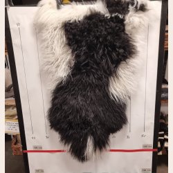 Islandsk lammeskind langhret plettet str M - 2220