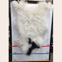 Islandsk lammeskind langhret plettet str XL - 4223