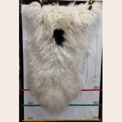 Islandsk lammeskind langhret plettet str XL - 4226