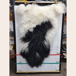 Islandsk lammeskind langhret plettet str XL - 4228