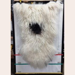 Islandsk lammeskind langhret plettet str XL - 4229