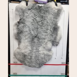 Islandsk klippet lammeskind gr� str M 2916