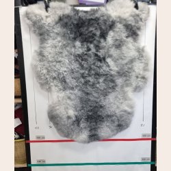 Islandsk klippet lammeskind gr� str M 2924