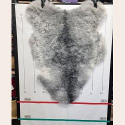 Islandsk klippet lammeskind gr� str M 2944