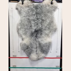 Islandsk klippet lammeskind gr� str M 2945