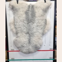 Islandsk klippet lammeskind gr� str M 2946