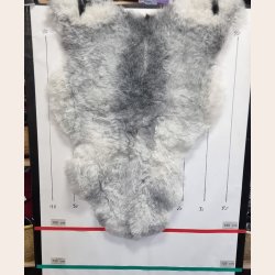 Islandsk klippet lammeskind gr� str M 2947