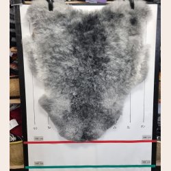 Islandsk klippet lammeskind gr� str M 2950