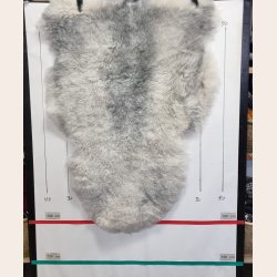 Islandsk klippet lammeskind gr� str M 2951