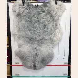 Islandsk klippet lammeskind gr� str M 2952