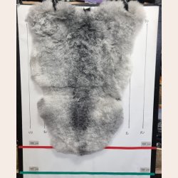 Islandsk klippet lammeskind gr� str M 2953