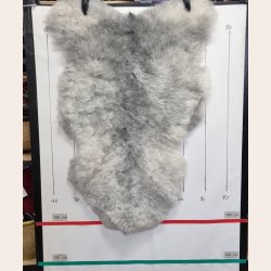Islandsk klippet lammeskind gr� str M 2954
