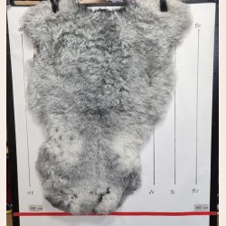 Islandsk klippet lammeskind gr� str M 2956