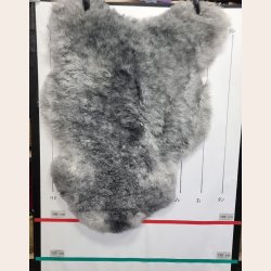 Islandsk klippet lammeskind gr� str M 2957