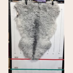 Islandsk klippet lammeskind gr� str M 2958