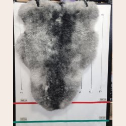 Kopi af Kopi af Islandsk klippet lammeskind gr� str M 2963