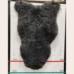 Islandsk klippet lammeskind naturligt gr� str L  3915