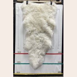 Islandsk klippet lammeskind lyse str L 3514