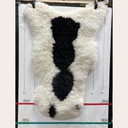 Islandsk lammeskind korth�ret plettet str L - 3714