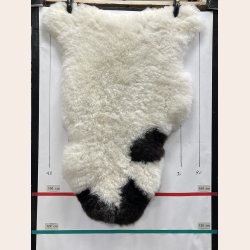 Islandsk klippet lammeskind plettet str L 3715