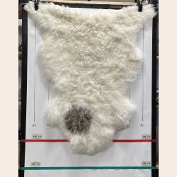 Islandsk klippet lammeskind plettet str L 3716