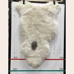 Islandsk klippet lammeskind plettet str L 3717