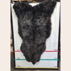 Islandsk klippet lammeskind naturligt gr stnk str XL  4912