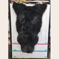 Islandsk klippet lammeskind naturligt gr stnk str XL  4911