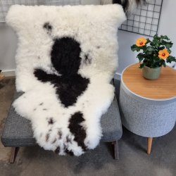 Islandsk klippet lammeskind plettet str XL 4710