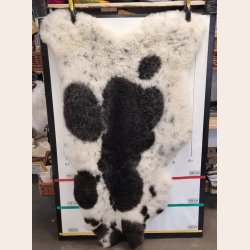 Islandsk klippet lammeskind naturligt str XXL  5999 140 cm +