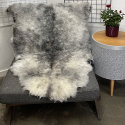 Islandsk klippet lammeskind naturligt gr� str L  3930