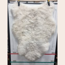 Islandsk klippet lammeskind lys str L - 3519