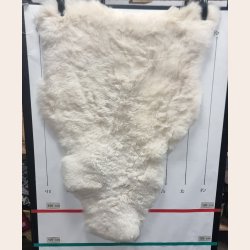 Islandsk klippet lammeskind lys str L - 3520