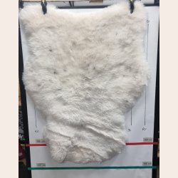 Islandsk klippet lammeskind lys str L - 3527