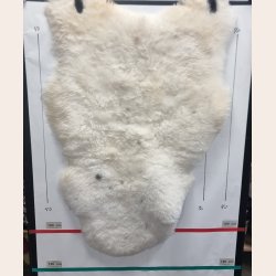 Islandsk klippet lammeskind lys str L - 3528