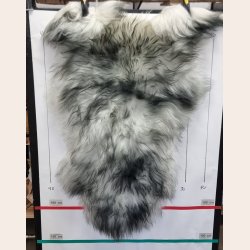 Islandsk lammeskind langh�ret plettet str L - 3217