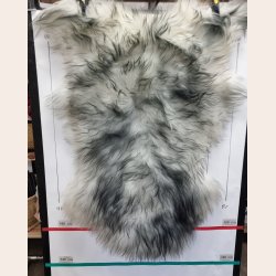 Islandsk lammeskind langh�ret plettet str L - 3218