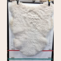 Islandsk klippet lammeskind lys str L 3511