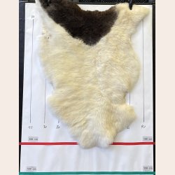 LAMMESKIND NATURLIGT - 6212