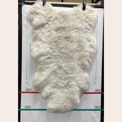 Islandsk klippet lammeskind hvid str XL 4515