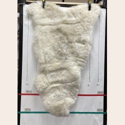 Islandsk klippet lammeskind hvid str XL 4517