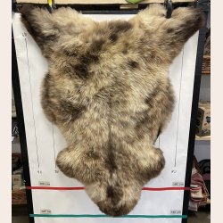 LAMMESKIND NATURLIGT - 6321