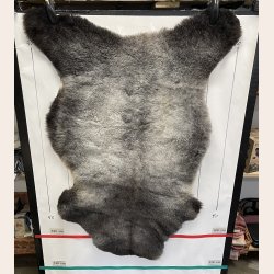 LAMMESKIND NATURLIGT - 6335