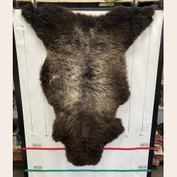 LAMMESKIND NATURLIGT - 6337