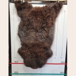 LAMMESKIND NATURLIGT - 6310